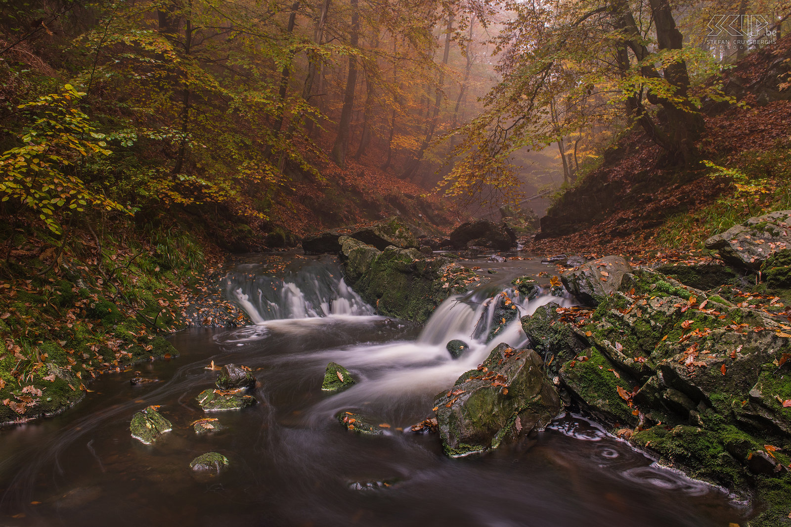 Autumn in the Ardennes - Höegne Autumn pictures of the beautiful region around Malmedy in the Belgian Ardennes. Some small waterfalls of the Hoëgne river near the village of Hockai. The Hoëgne is a tributary of the Weser and has a length of 30 kilometers.<br />
 Stefan Cruysberghs